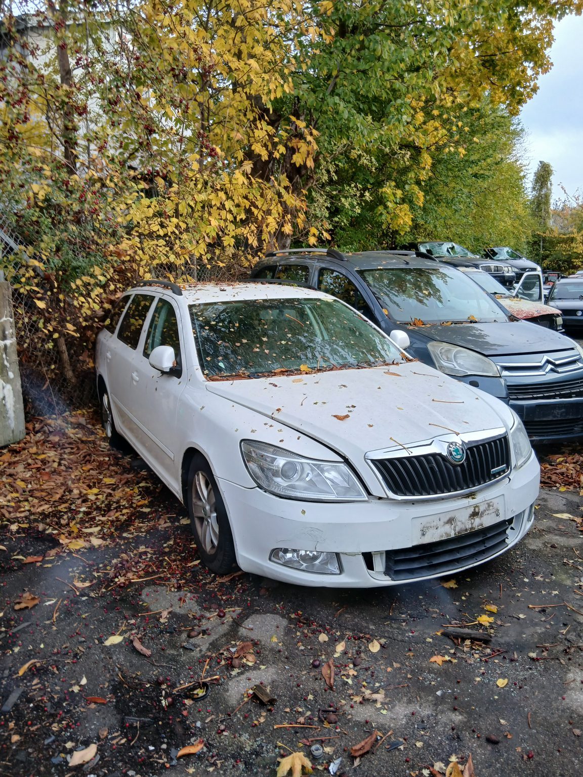 Skoda Octavia Combi 1,6Tdi Greenline – biler til ophug hos Søborg Autoophug